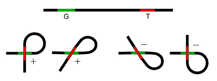 G-T angles